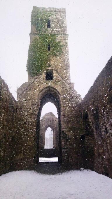 Riverside Cabin Limerick Junction Esterno foto