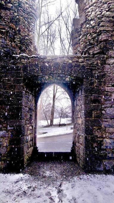 Riverside Cabin Limerick Junction Esterno foto