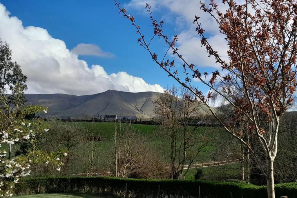 Riverside Cabin Limerick Junction Esterno foto