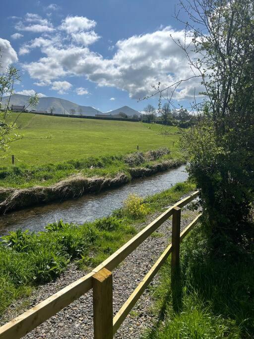Riverside Cabin Limerick Junction Esterno foto
