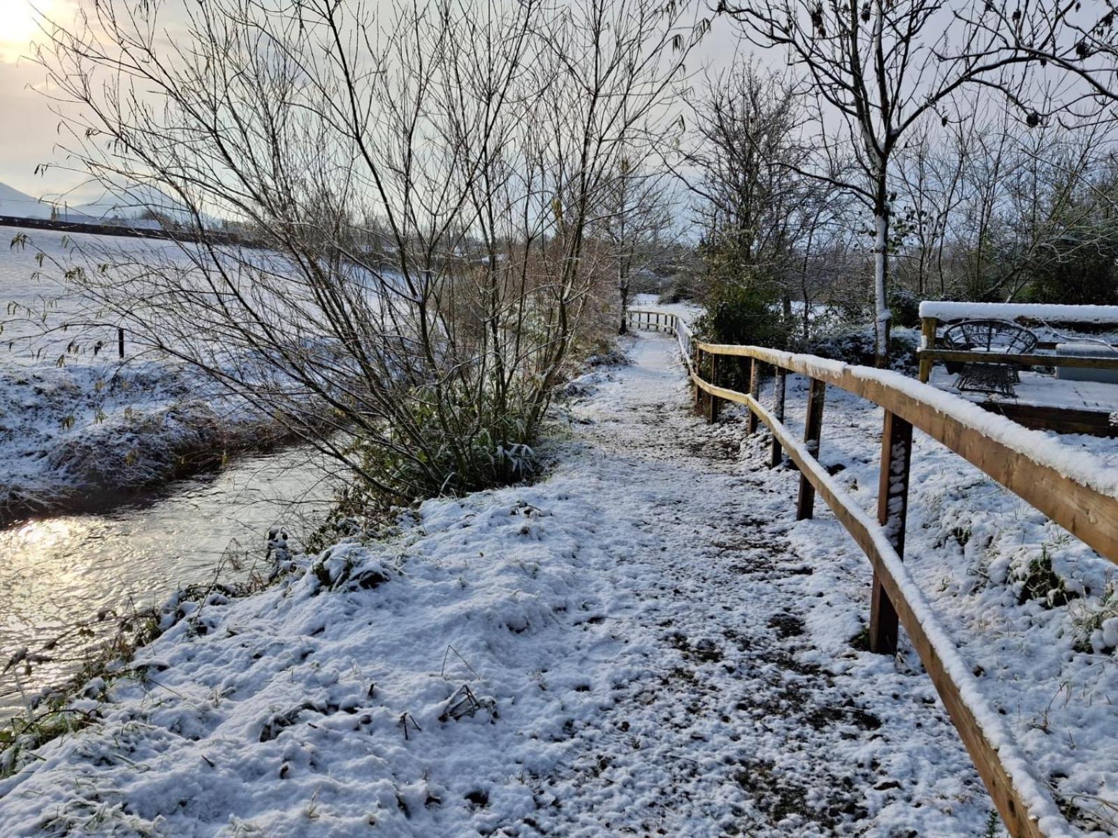 Riverside Cabin Limerick Junction Esterno foto