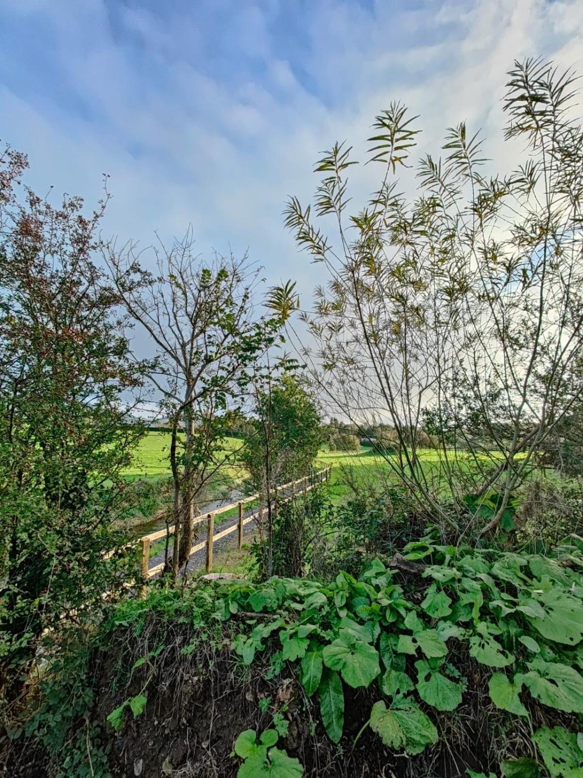 Riverside Cabin Limerick Junction Esterno foto